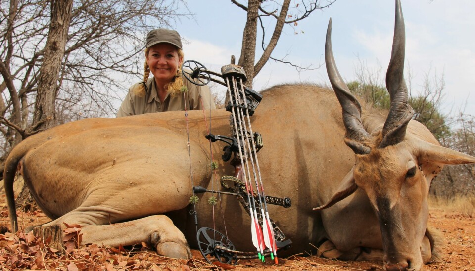– Jeg gav 25.000kr. for at skyde denne elandtyr i Sydafrika, få den skuldermonteret og væghængt, fortæller den ivrige jæger.