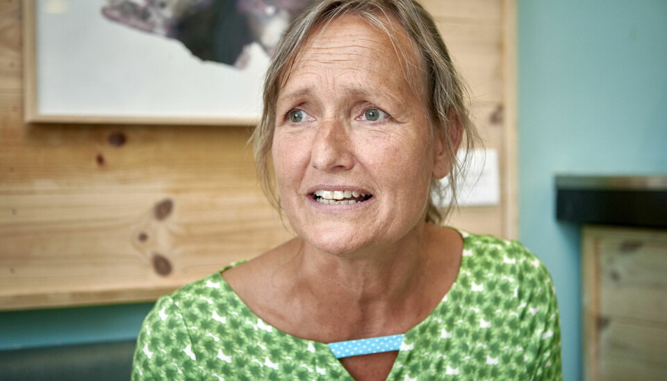 Gitte Christiansen (Foto: Janus Nielsen)