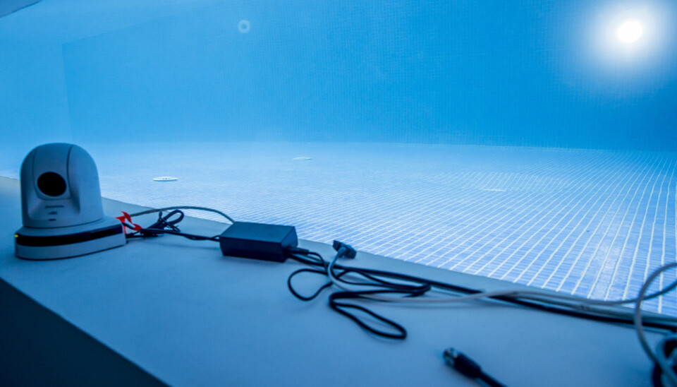 ... Dog skal de huske, at der står et undervandskamera, der får det hele med, hvis der opstår sød musik i dybet
(Foto: Michael Stub)