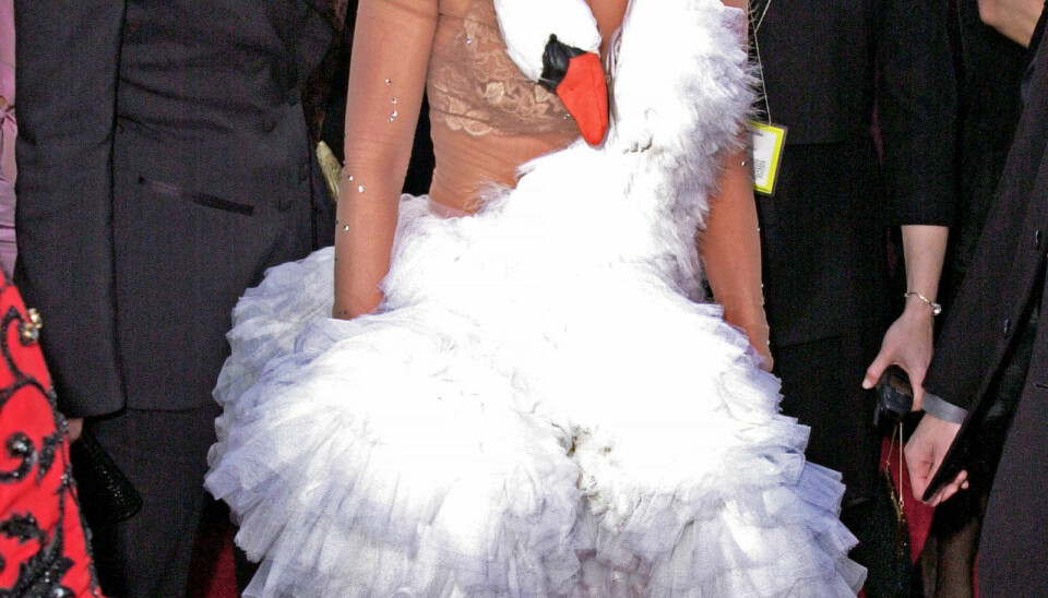 SVANENS DØD
Da islandske Björk i 2001 blev Oscar-nomineret for en sang i Lars Von Triers ”Dancer in the Dark”, fejrede hun det åbenbart med at slå en svane ihjel og lave en kjole ud af den (Foto: Getty Images)