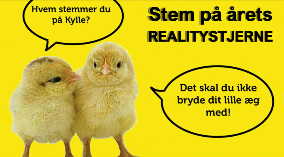Stem på årets påskerealitystjerne! (Grafik: Kasper Bay-Kastrup) Stem på årets påskerealitystjerne! (Grafik: Kasper Bay-Kastrup)