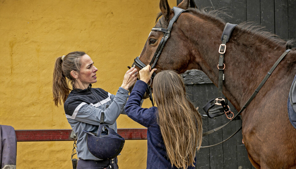 - Nu synes jeg, at det er det fedeste i hele verden at ride, at gøre hesten klar og nusse om den sammen med Viola (Foto: Michael Stub)