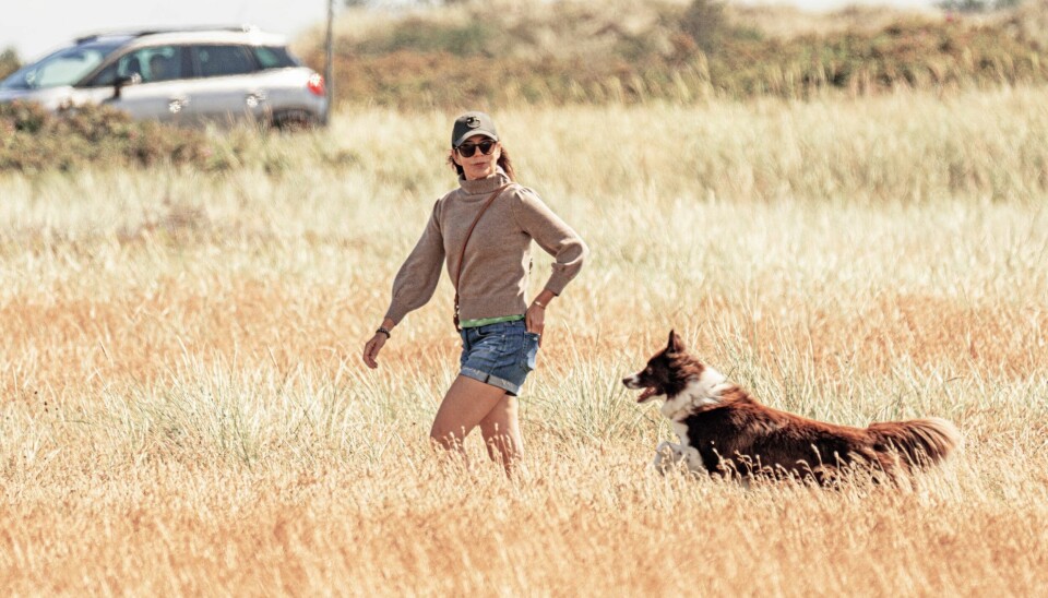 Kronprinsessen har fuldstændigt styr på sin hund og lader derfor tit den to-årige border collie løbe frit, når de går tur (Foto: Anthon Unger)