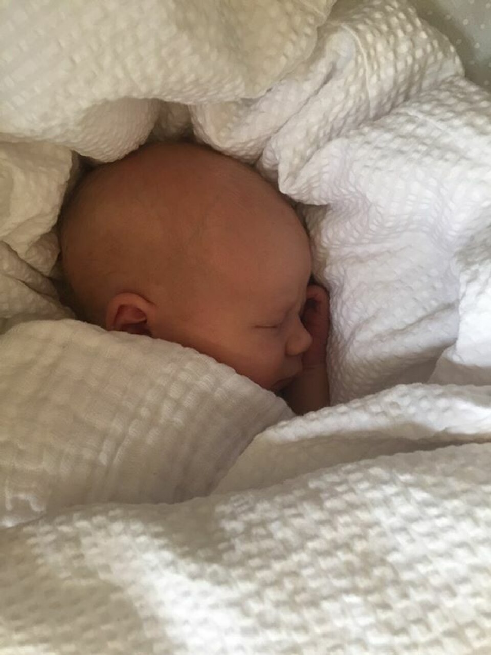Maja fødte datteren Frigga den 17. august 2020. (Foto: Privat) Maja fødte datteren Frigga den 17. august 2020. (Foto: Privat)