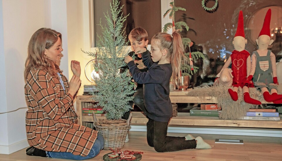 Familien anskaffer sig først et stor juletræ lige inden jul, men indtil da pryder et lille juletræ deres hyggelige stue (Foto: Lars E. Andreasen)