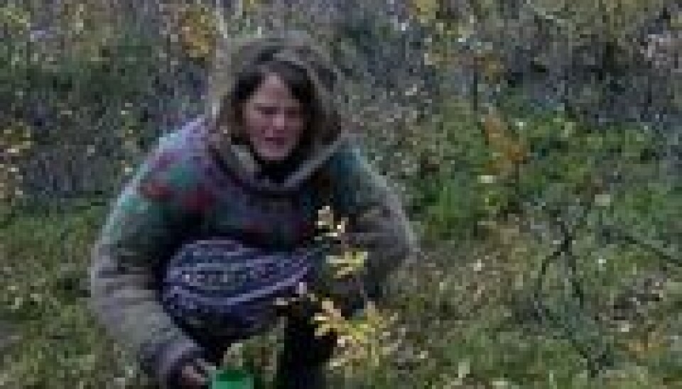 Camilla tissede og drak indholdet i en kop i bedste sendetid, men det er der en god forklaring på (Fotot: DR) Camilla tissede og drak indholdet i en kop i bedste sendetid, men det er der en god forklaring på (Fotot: DR)