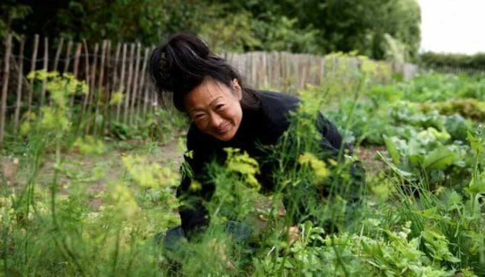 Marianne fra 'Hjem til gården'. (Foto: Lotta Lemche/TV 2)