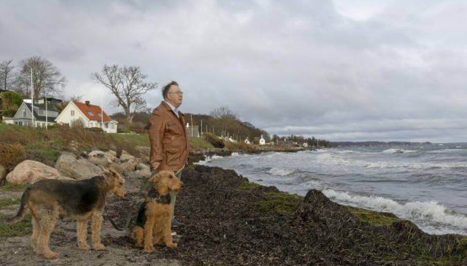 – Vores gamle Frida var en vandhund, men de her to har vandskræk. Oprindeligt er racen faktisk opdrættet til at jage oddere. (Foto: Lars E. Andreasen)