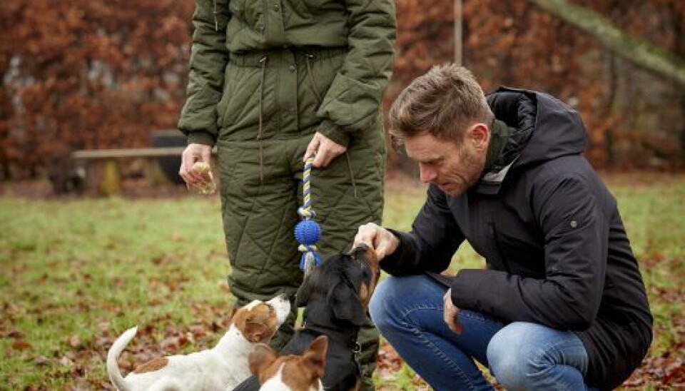 – Allan læser bøger og ser videoer på nettet om hundetræning. Når han vågner om morgenen kl. 5.30, så øver han ”plads” og ” dæk” med Apollo, inden han selv træner. Han øver han også i at gå i snor her på gården. (Foto: Bo Nymann)