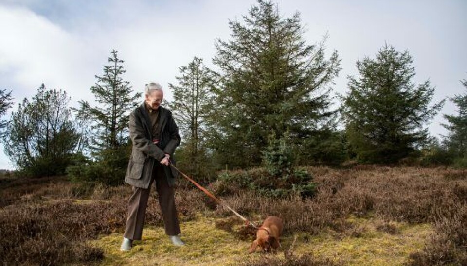 Dronning Margrethe i Trend i marts 2021. (Foto: Kongehuset) Dronning Margrethe i Trend i marts 2021. (Foto: Kongehuset)